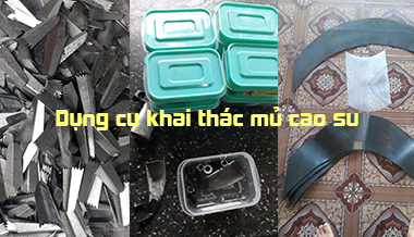 Dụng cụ khai thác mủ cao su là gì?