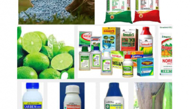 Tỉnh Sử Dụng Vật Tư Nông Nghiệp Nhiều Nhất Nước Ta