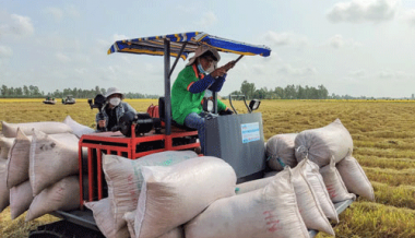Vật Tư Nông Nghiệp Là Gì? - Cập Nhật Mới Nhất Cuối Năm 2022