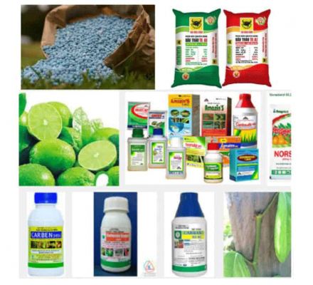 Tỉnh Sử Dụng Vật Tư Nông Nghiệp Nhiều Nhất Nước Ta