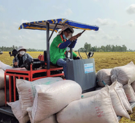 Vật Tư Nông Nghiệp Là Gì? - Cập Nhật Mới Nhất Cuối Năm 2022