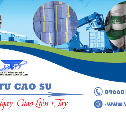 Xuất khẩu vật tư cao su Việt Nam